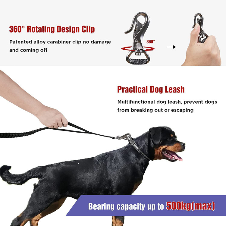 سرب دویدن بانجی با کمر پوشیدن، میتوانید حیوان خانگی را با وزن بدن خود کنترل کنید، نه اینکه بازوی خود را باز کنید