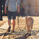 بند سگ قابل تنظیم از پارچه نایلونی قوی ساخته شده است که بادوام و قابل اعتماد است