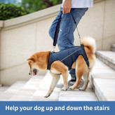 تسمه بالابر سگ با حمایت و تثبیت سگ هایی که تعادل خود را با آسیب های مفصلی، آرتریت، روماتیسم در زندگی روزمره از دست می دهند، جوان سازی می کند