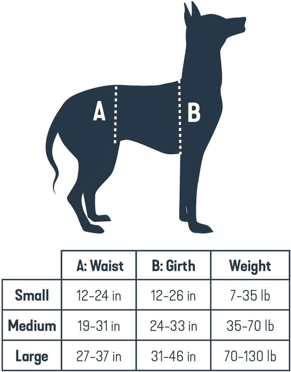 هنگام کمک به سگ خود از کشنده بند بلند کننده برای کاهش فشار روی کمر خود استفاده کنید