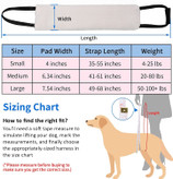 ارائه مراقبت نهایی به سگ ضعیف و مسن از طریق طراحی ضخیم و آستر نرم با پوششی شبیه پوست گوسفند