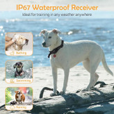 قلاده آموزشی و ضد پارس سگ